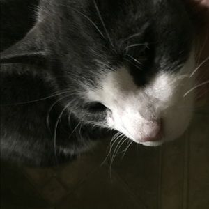 Meet your Posher, Diane